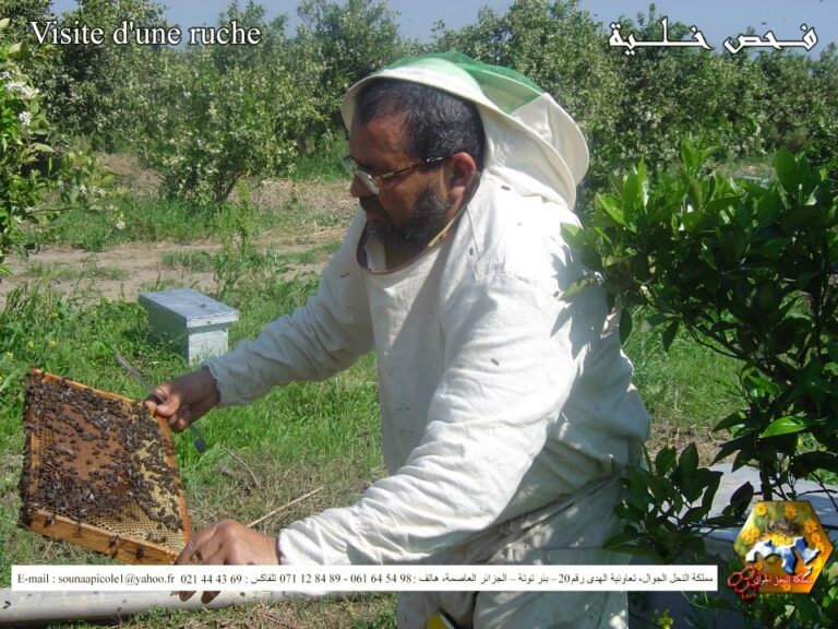 512684767_24957748897149244_657304760833856283_n